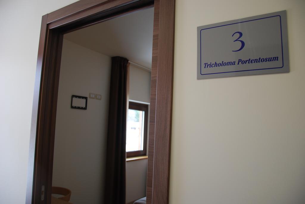 Guest House Caracas Лорика Экстерьер фото